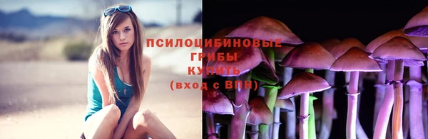 каннабис Арсеньев