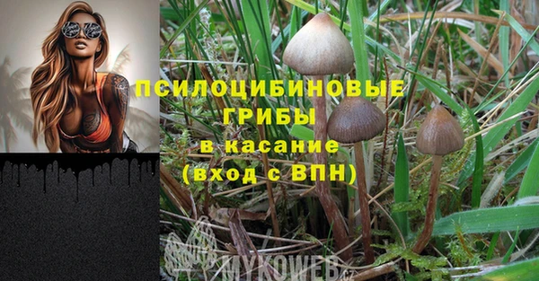 каннабис Арсеньев