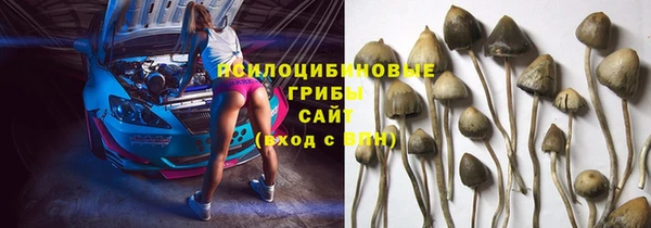 каннабис Арсеньев