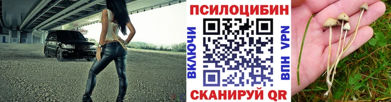 купить закладку Салаир MEGA как зайти Галлюциногенные грибы ЛСД