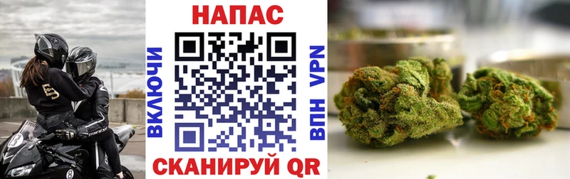 Бошки марихуана планчик  Салаир 